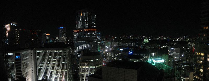 Tokyo Nighttime Panorama from ANA Hotel